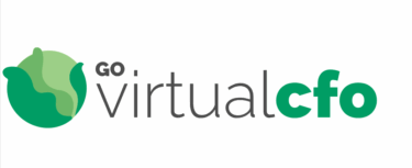 Go Virtual CFO